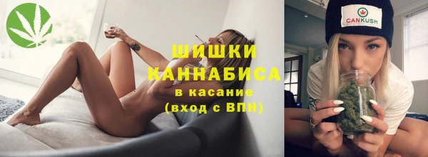 стаф Богданович